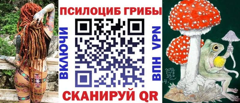 Псилоцибиновые грибы MAGIC MUSHROOMS где найти наркотики Москва